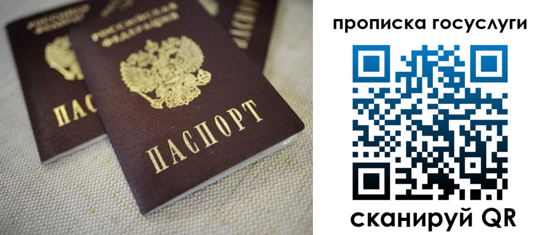 временная регистрация для всех в Палласовке
